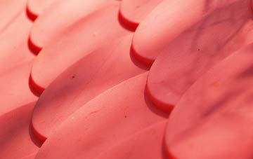 Ffos Y Go plastic roof costs