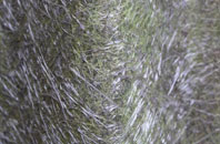 Ffos Y Go fibreglass roof work